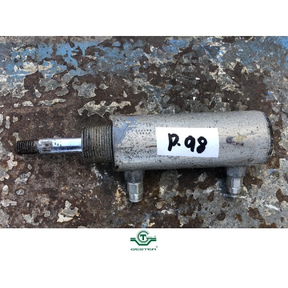 Pneumatic piston