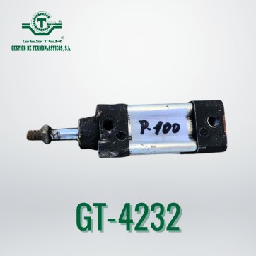 Pneumatic piston