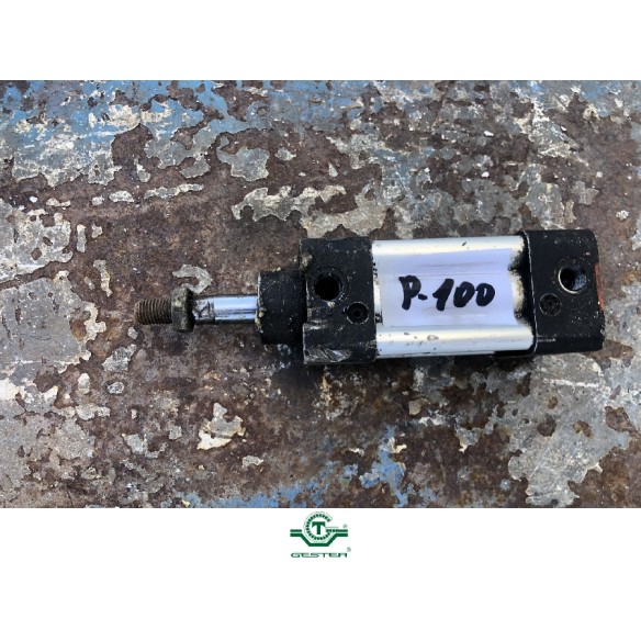 Pneumatic piston