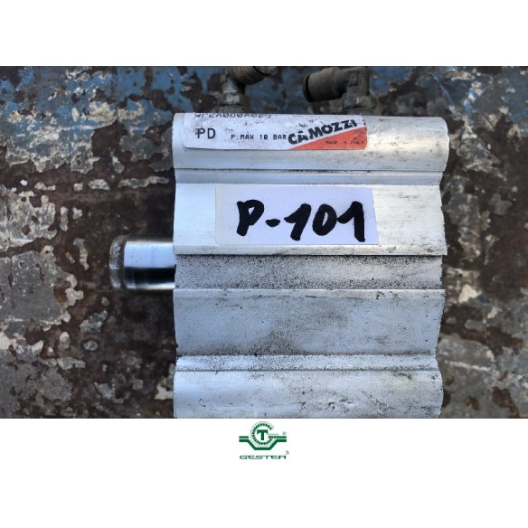 Pneumatic piston