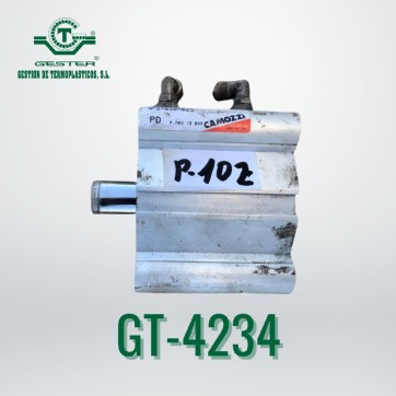 Pneumatic piston