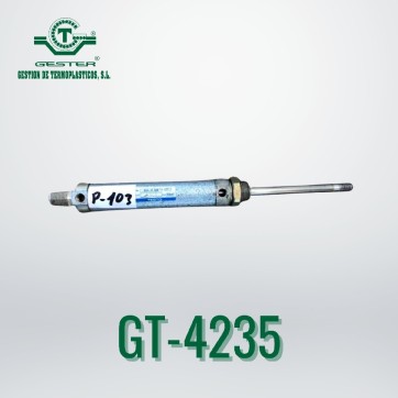 Pneumatic piston