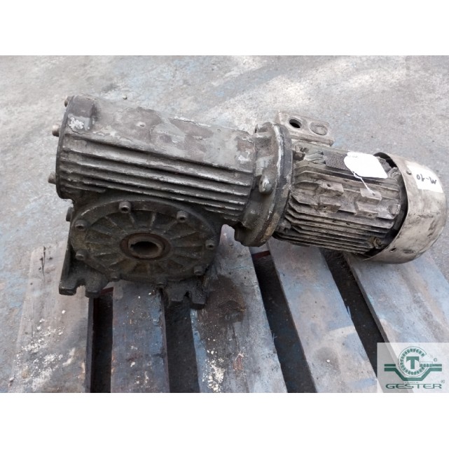 Gear motor