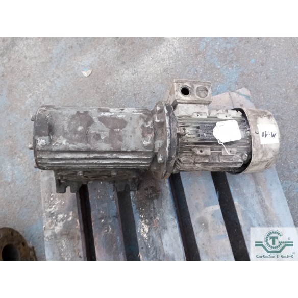 Gear motor