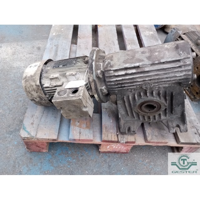 Gear motor