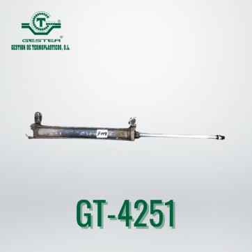 Pneumatic piston