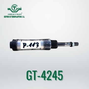 Pneumatic piston