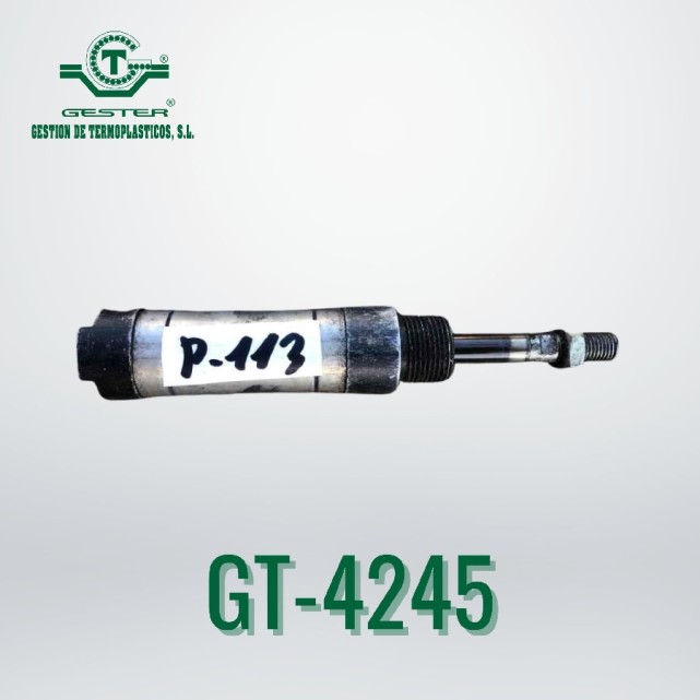Pneumatic piston