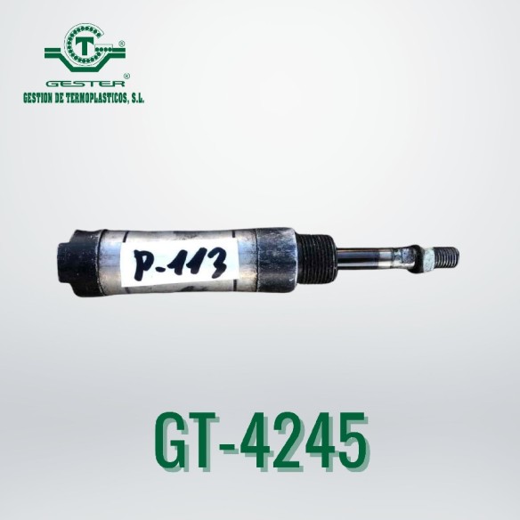 Pneumatic piston