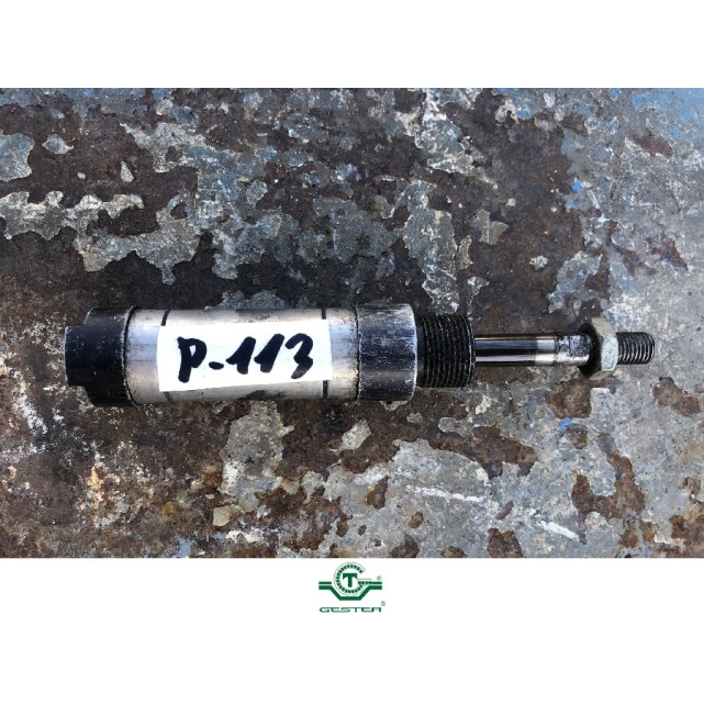 Pneumatic piston