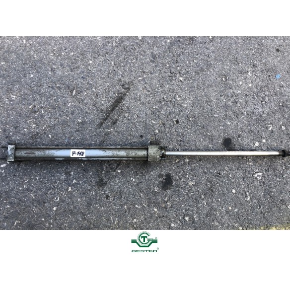 Pneumatic piston