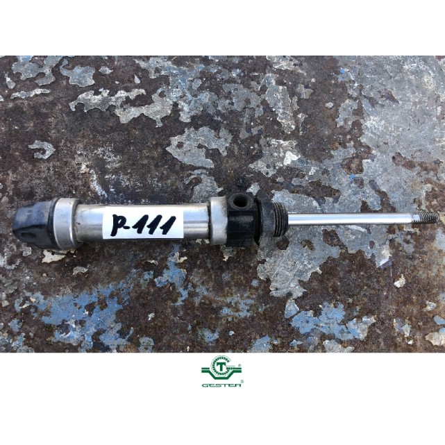 Pneumatic piston