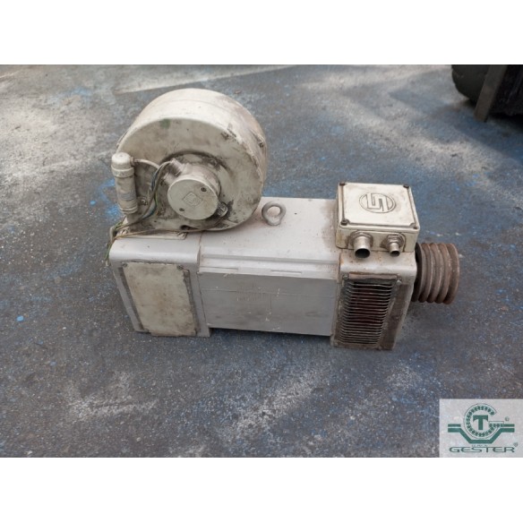 Standing engine