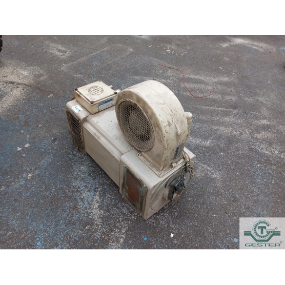 Standing engine