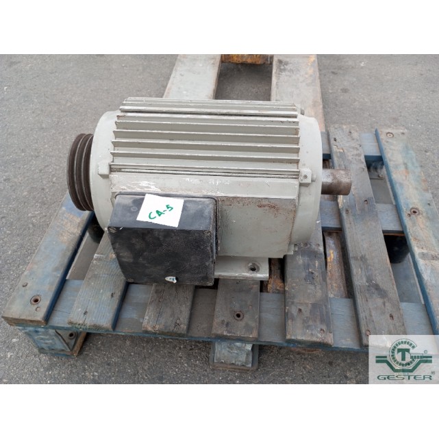 Standing engine