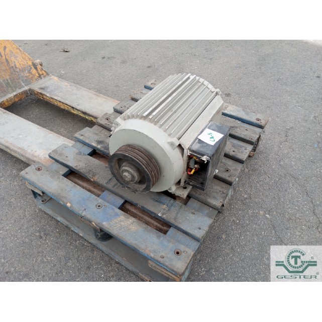 Standing engine