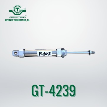 Pneumatic piston