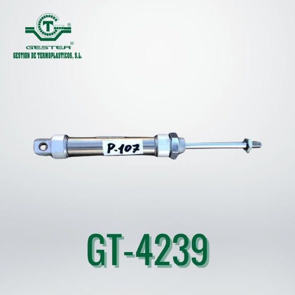 Pneumatic piston