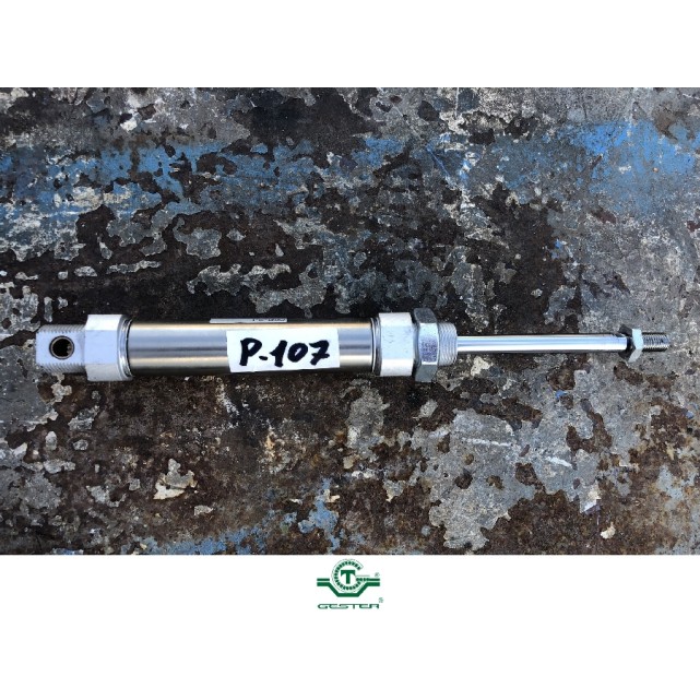 Pneumatic piston