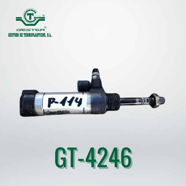 Pneumatic piston