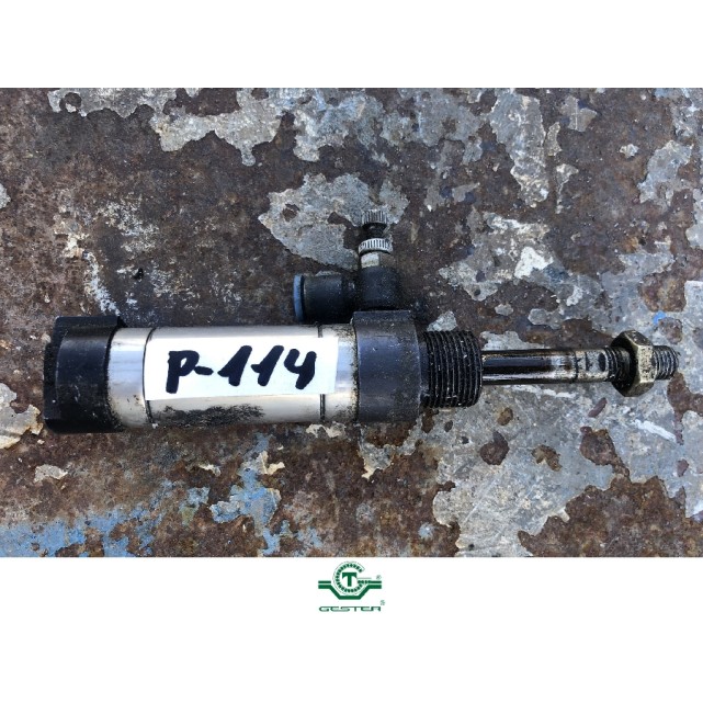 Pneumatic piston