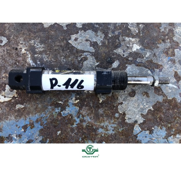 Pneumatic piston