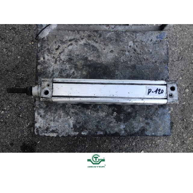 Pneumatic piston