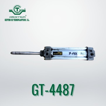 Pneumatic piston