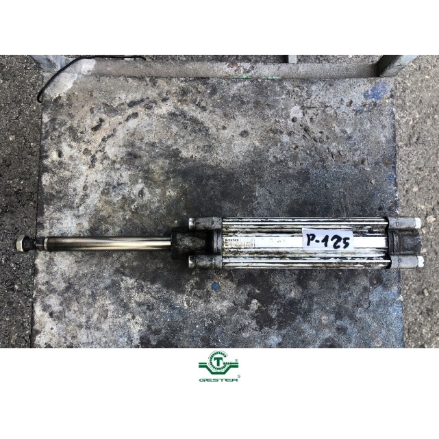 Pneumatic piston