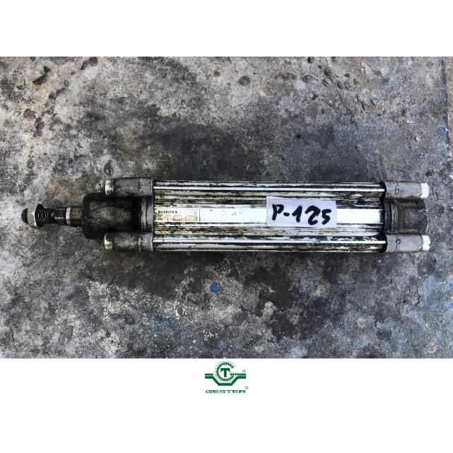 Pneumatic piston