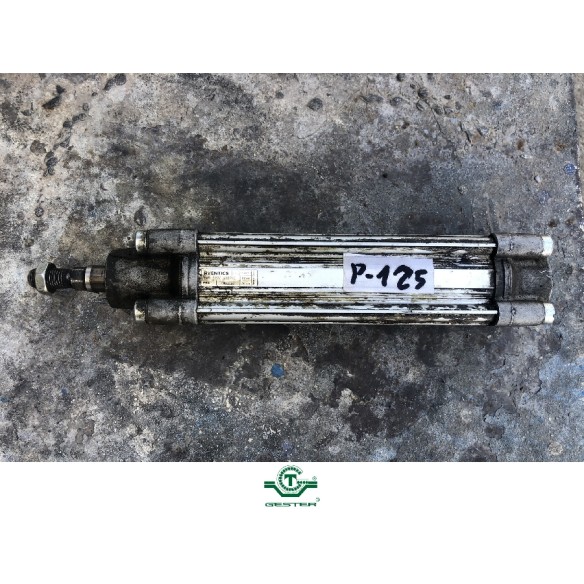 Pneumatic piston