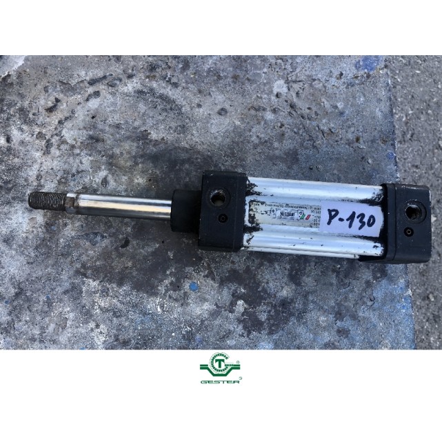 Pneumatic piston