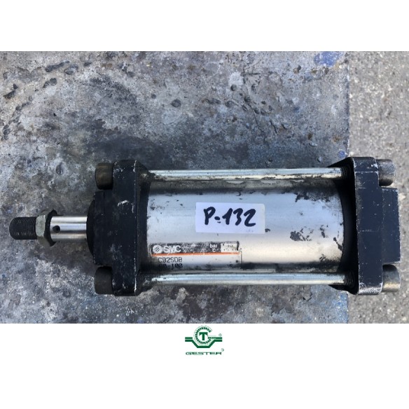 Pneumatic piston