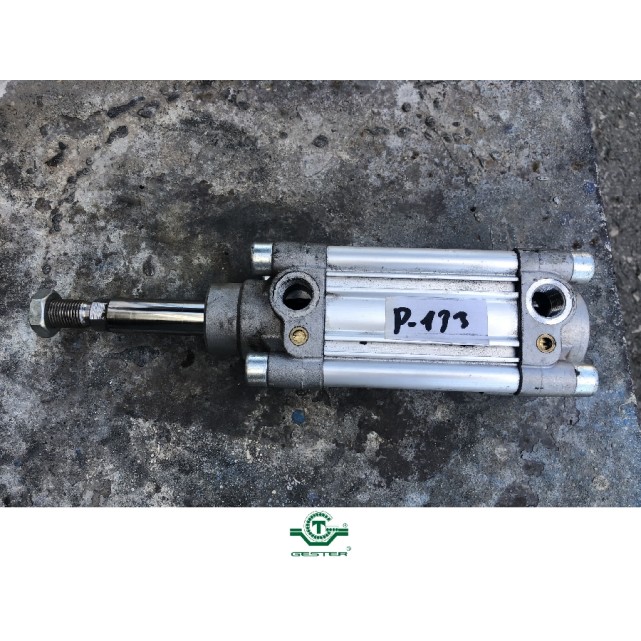 Pneumatic piston