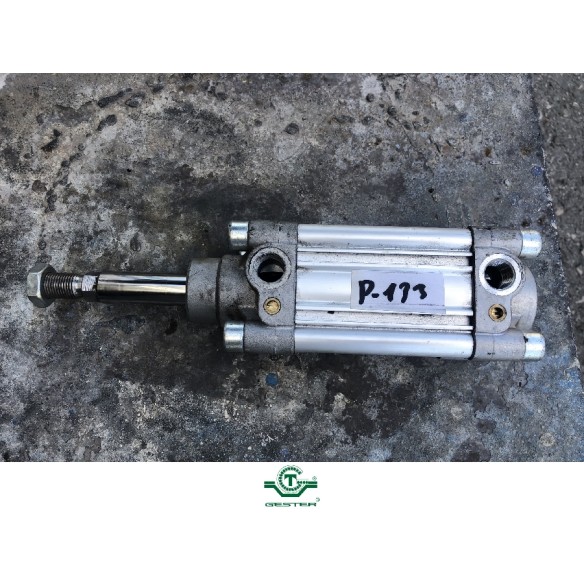 Pneumatic piston