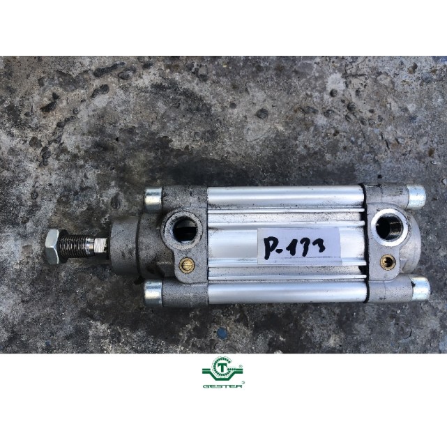 Pneumatic piston