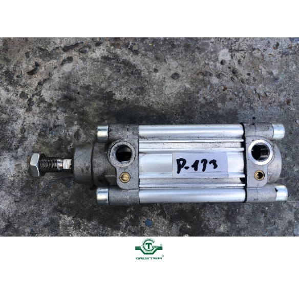 Pneumatic piston