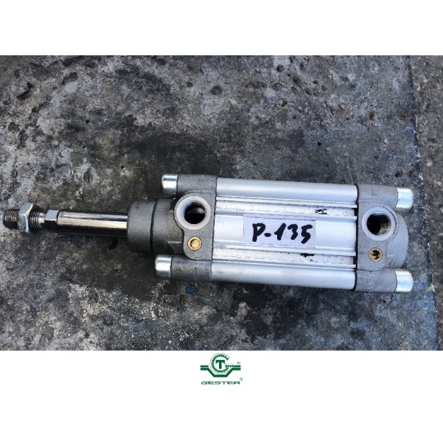 Pneumatic piston