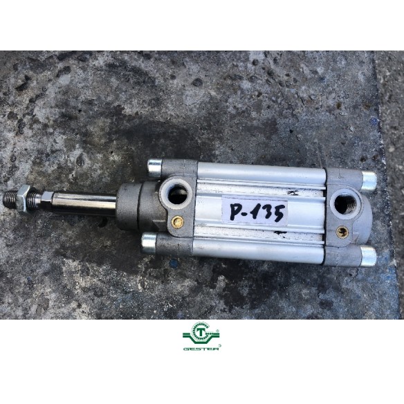 Pneumatic piston