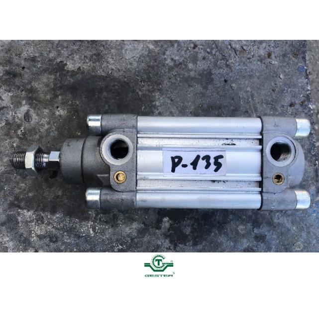 Pneumatic piston