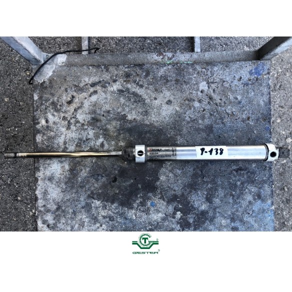 Pneumatic piston