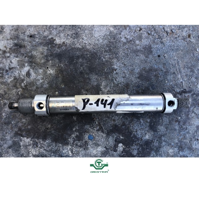 Pneumatic piston