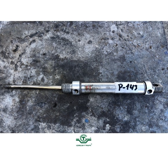Pneumatic piston