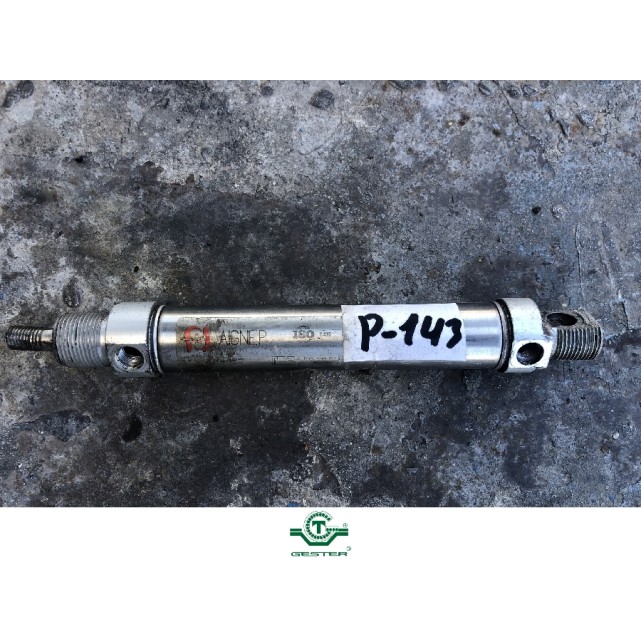 Pneumatic piston