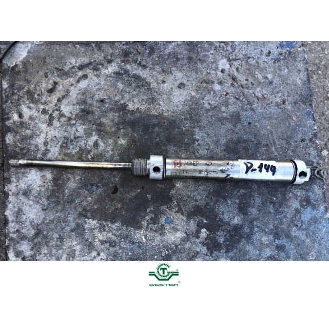 Pneumatic piston