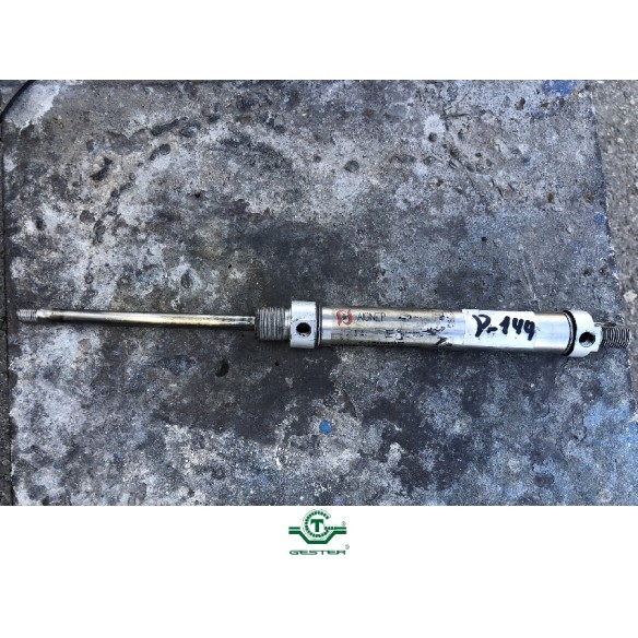 Pneumatic piston