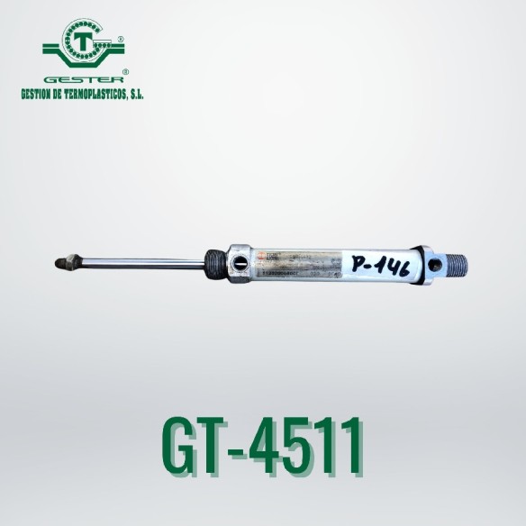 Pneumatic piston