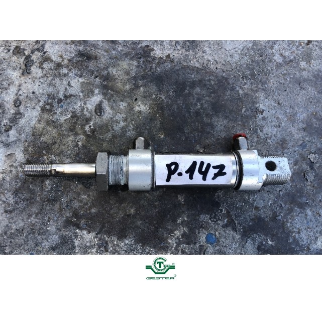 Pneumatic piston