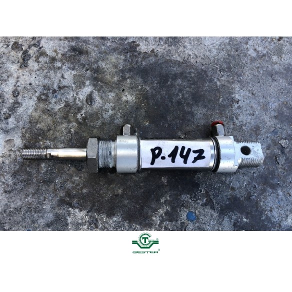 Pneumatic piston