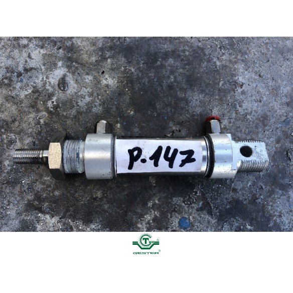 Pneumatic piston